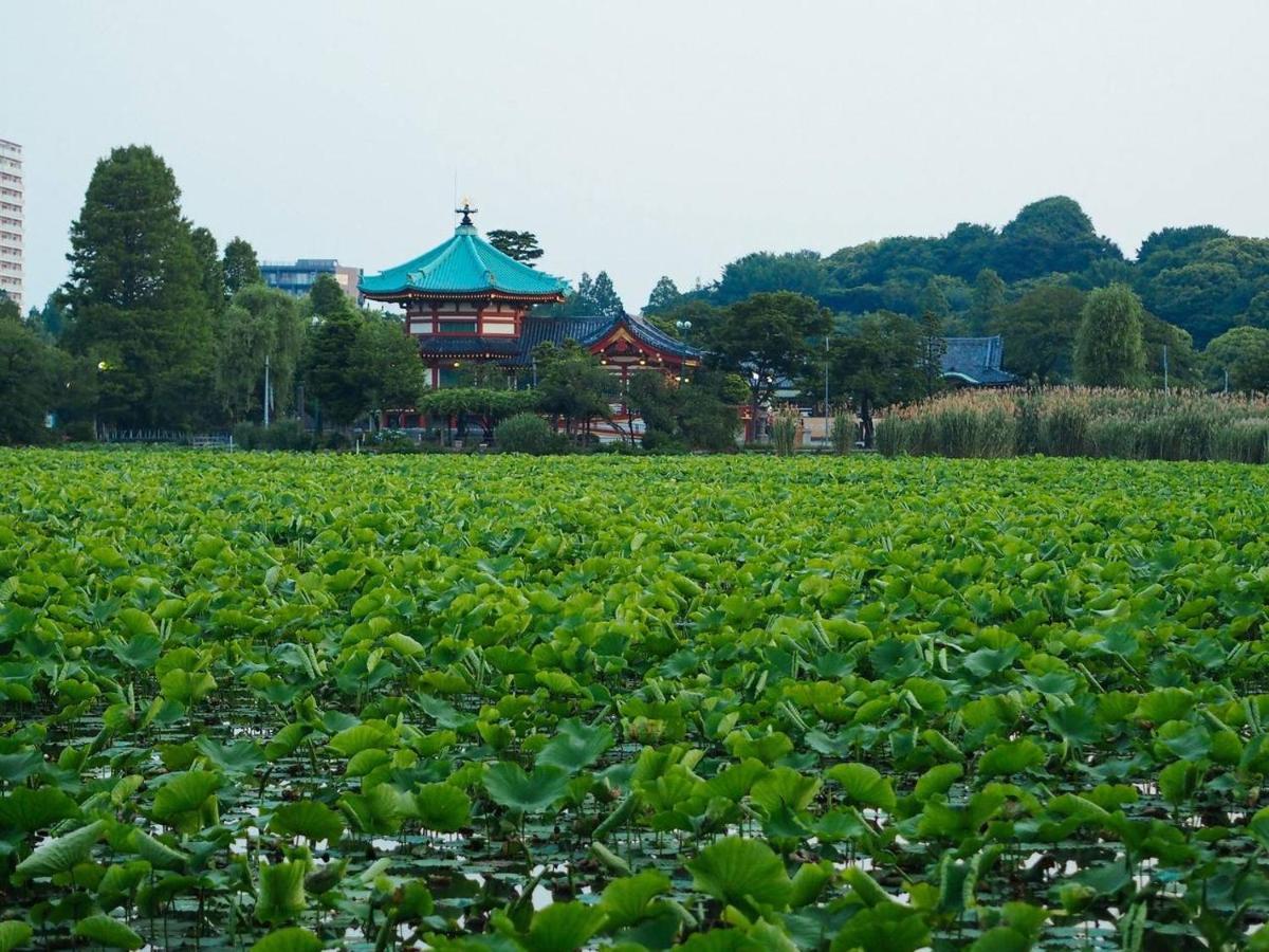 Tora Hotel Tokyo-Kitaueno 寅ホテル北上野 Exterior foto